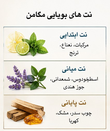 ادکلن Megaman ژاکلین حجم 75 میل با طراحی مردانه