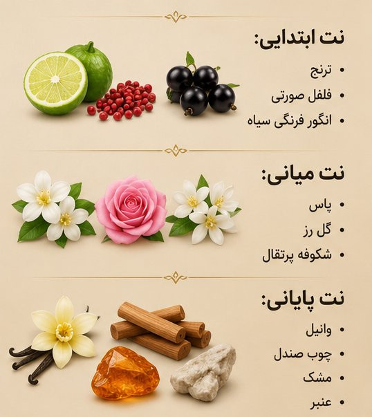 ادکلن Angels ژاکلین با بطری شیشهای لوکس و رایحه زنانه