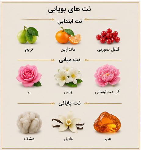 ادکلن Flora ژاکلین با طراحی شیک و رایحه زنانه