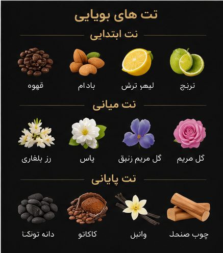 ادکلن Gold Girl ژاکلین با بطری مشکی و طراحی زنانه
