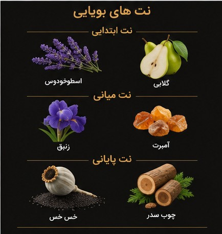 ادکلن D'Hommes Intense ژاکلین با طراحی شیک و رایحه مردانه