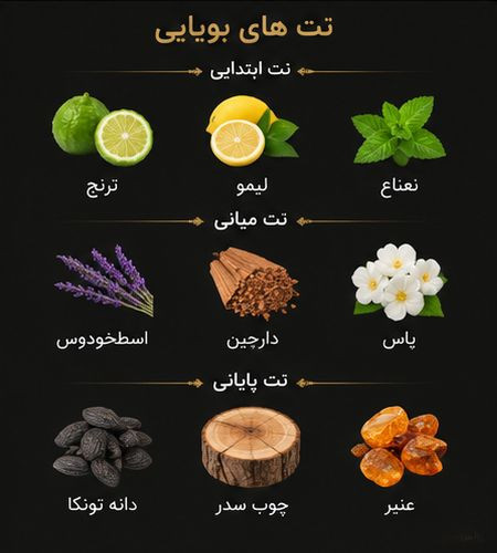 ادکلن YOUR ژاکلین 100 میل با طراحی شیک و مردانه