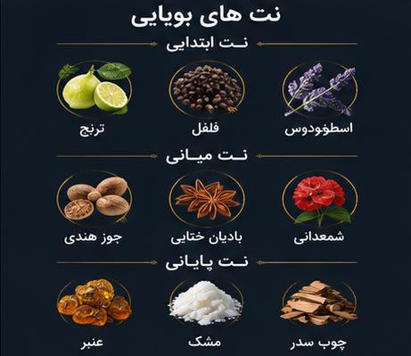 ادکلن SAWAGE ژاکلین 100 میل با طراحی شیک و مردانه