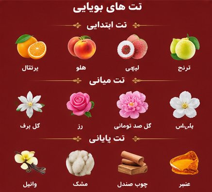ادکلن See Passion ژاکلین با طراحی قرمز و جذاب