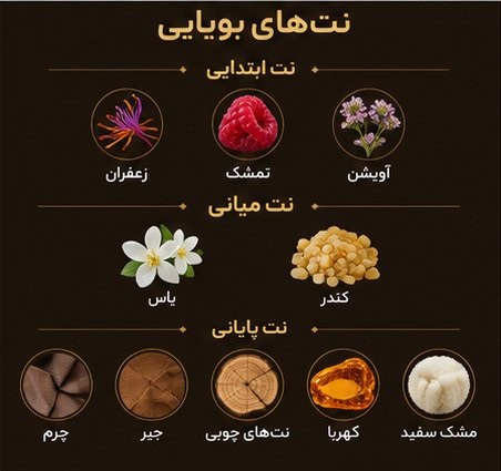 ادکلن Toscany Leather ژاکلین با طراحی قهوهای و رایحه چرمی