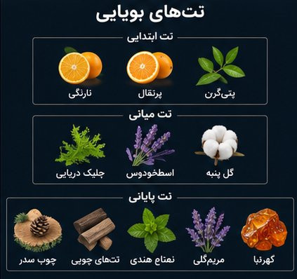 ادکلن آکوا پور هوم ژاکلین با رایحه مرکباتی و دریایی