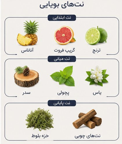 نتهای بویایی ادکلن Jaclin Nashama Haqiwad با رایحه مشابه Nishane Hacivat