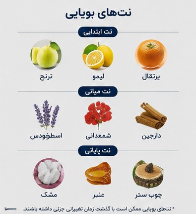نتهای بویایی ادکلن Jaclin Perfume Ultra