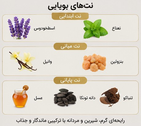 نتهای بویایی ادکلن Jaclin Elixir مشابه Le Male Elixir ژان پل گوتیه