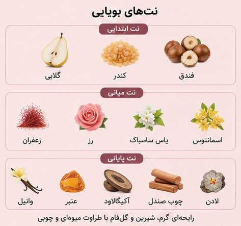 نتهای بویایی ادکلن Jaclin Accodance مشابه Amouage Guidance
