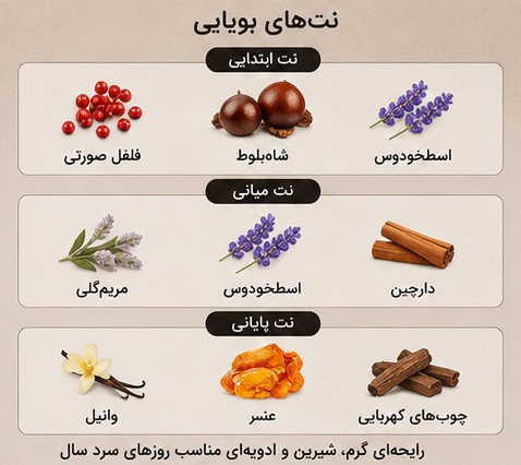 نتهای بویایی ادکلن یور اینتنسلی ژاکلین با رایحه گرم، شیرین و وانیلی