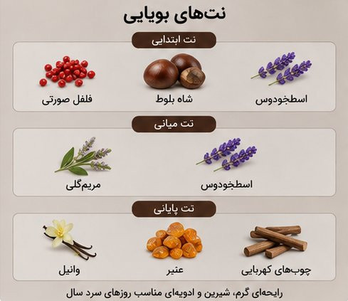 نتهای بویایی ادکلن ژاکلین یور ابسلوتلی با رایحه رام، اسطوخودوس، وانیل و چوب سدر