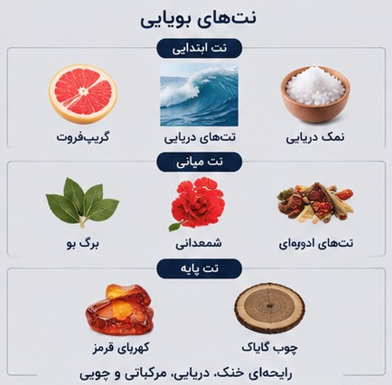 نتهای بویایی ادکلن ژاکلین اینویکتاس لجند شامل گریپفروت، نمک دریایی، برگ بو، شمعدانی و چوب گایاک