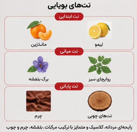 نتهای بویایی ادکلن ژاکلین فورنایت با رایحه ماندارین، بنفشه و چرم